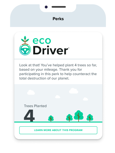 Offset carbon emissions from driving by planting trees.